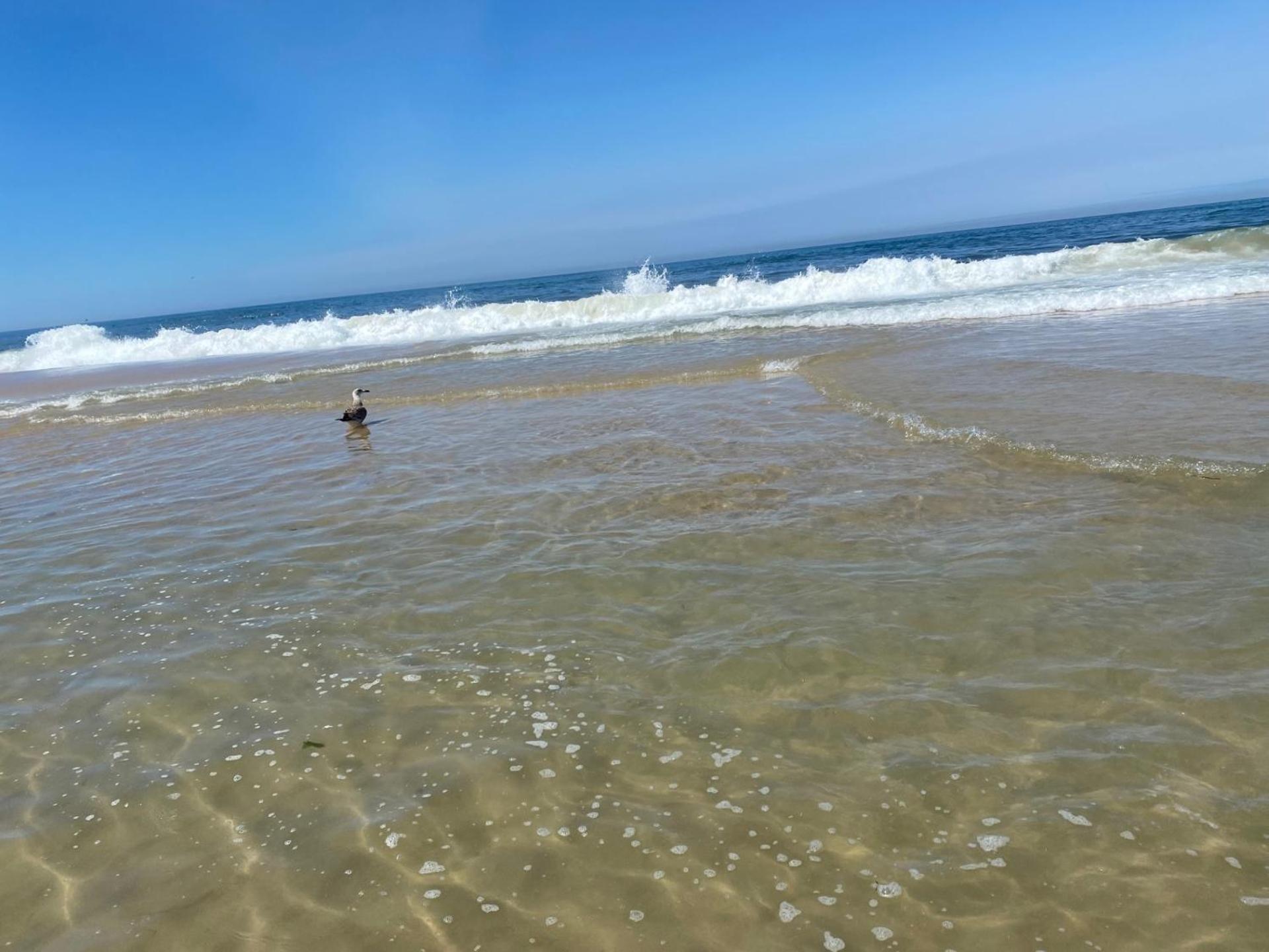 Bleu Ocean Praia de Mira