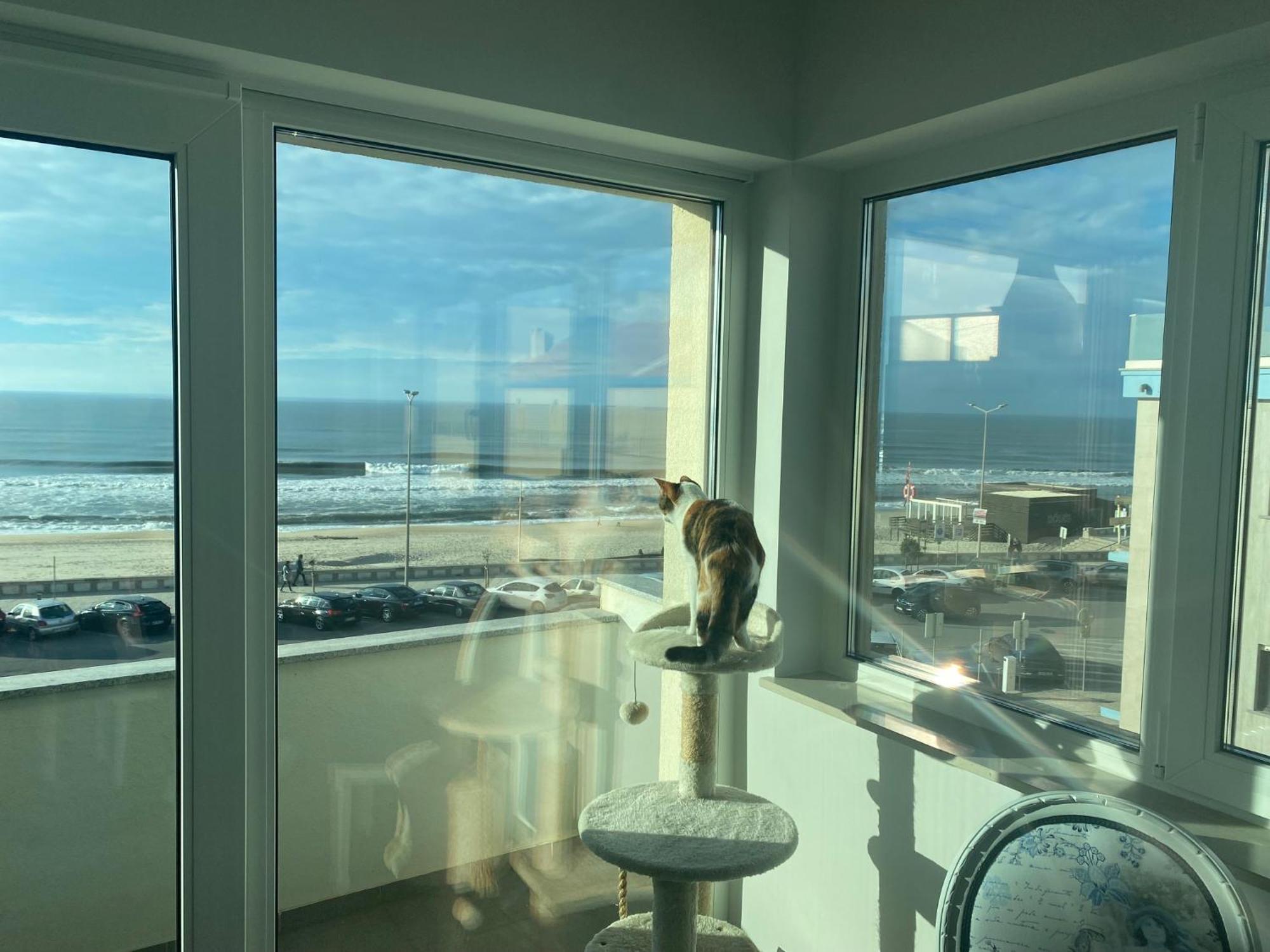 Apartment Bleu Ocean *